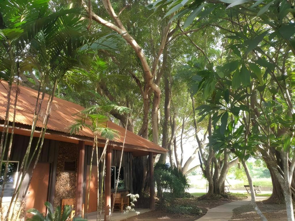Pai Hotsprings Spa Resort Exterior photo